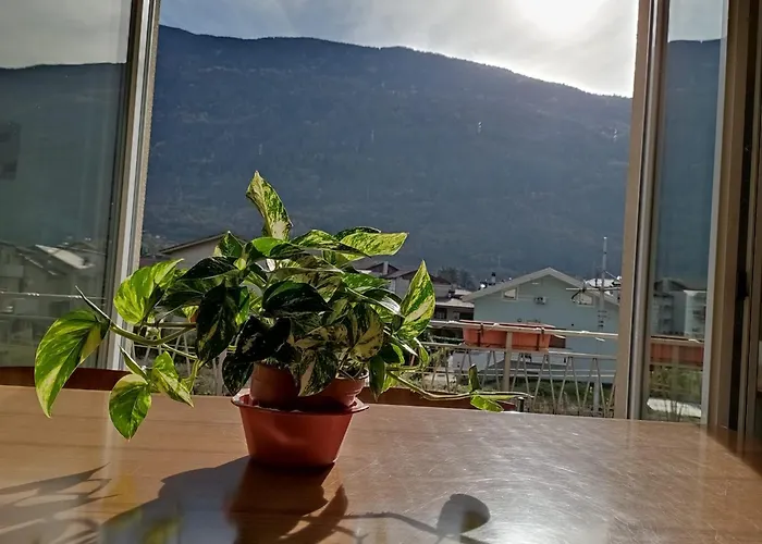 Tirano Express Comfort Apartment 2P